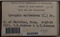 Image Associated With the Occurence